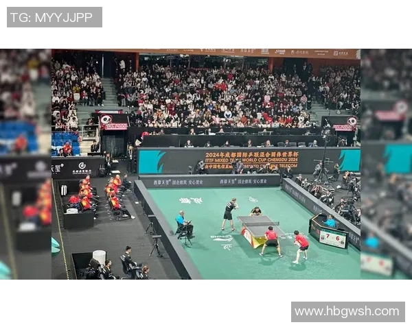 成都乒乓球队配合策略深度解析与对比分析 成都乒乓球队配合策略深度解析与对比分析