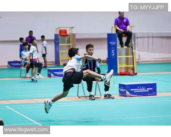 南京羽毛球队技术分析与发展探讨聚焦羽毛球运动的未来与挑战