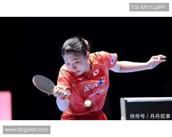 成都排球队战术表现深度解析与大满贯点评