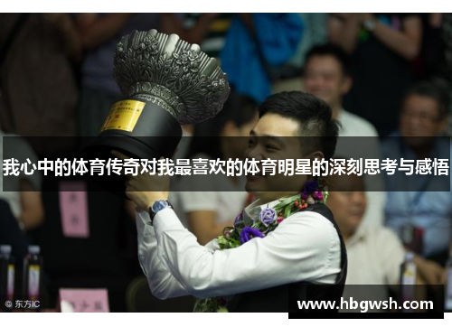我心中的体育传奇对我最喜欢的体育明星的深刻思考与感悟