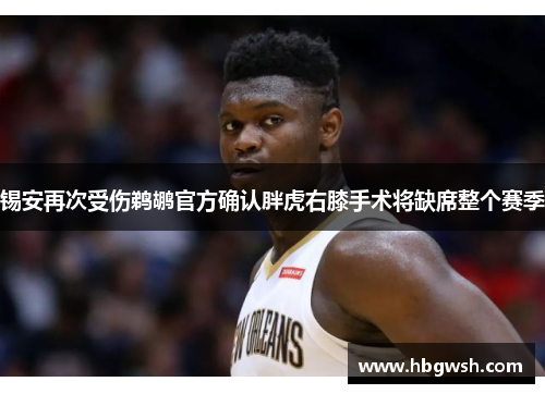 锡安再次受伤鹈鹕官方确认胖虎右膝手术将缺席整个赛季